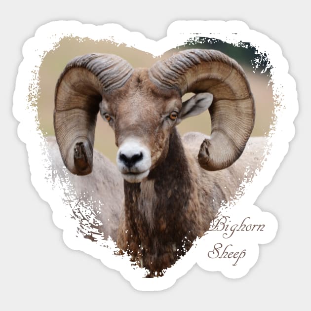 Bighorn Sheep Ram Sticker by Whisperingpeaks